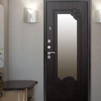 Входная металлическая дверь с остеклением